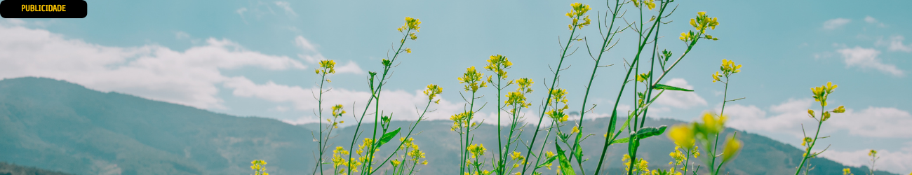 Banner de patrocinador